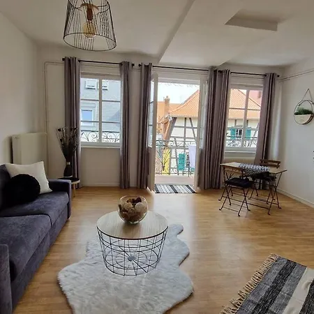 Centre Historique De Saverne, Bel De 65 M2, Hyper Centre Zone Pietonne, Parking Gratuit A Proximite Apartman