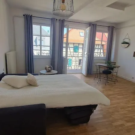 Centre Historique De Saverne, Bel De 65 M2, Hyper Centre Zone Pietonne, Parking Gratuit A Proximite