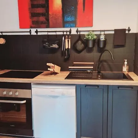 Apartman Centre Historique De Saverne, Bel De 65 M2, Hyper Centre Zone Pietonne, Parking Gratuit A Proximite