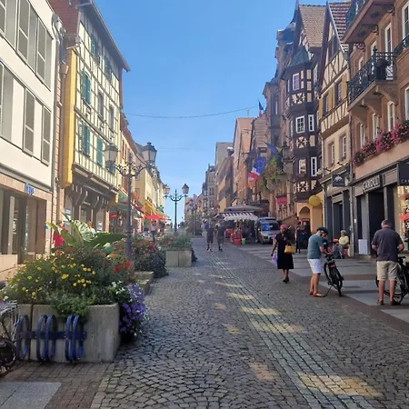 Apartment Centre Historique De Saverne, Bel De 65 M2, Hyper Centre Zone Pietonne, Parking Gratuit A Proximite Saverne