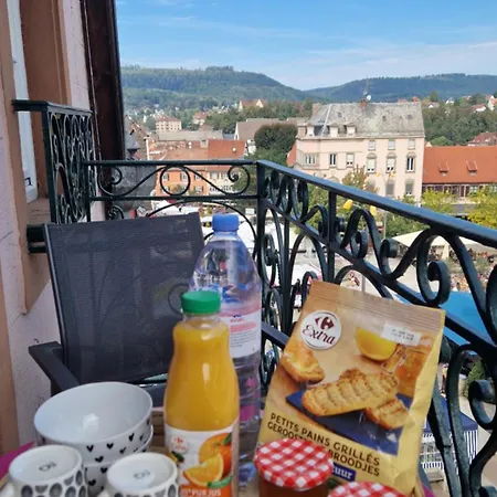 Centre Historique De Saverne, Bel De 65 M2, Hyper Centre Zone Pietonne, Parking Gratuit A Proximite Apartman